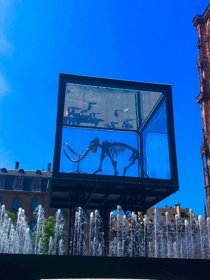 Le Moment Bleu Lägenhet Strasbourg Exteriör bild